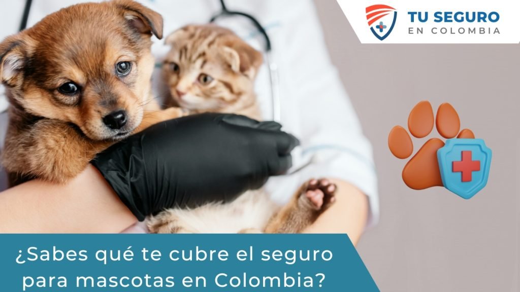 magen de una mascota con su dueño en una clínica veterinaria, destacando la cobertura del seguro para mascotas en Colombia.